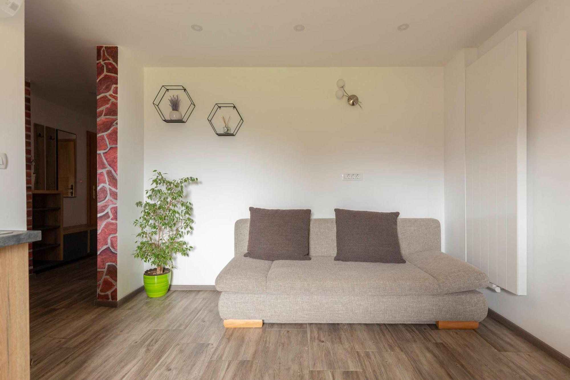 Apartmaji Hodak 博希尼 外观 照片
